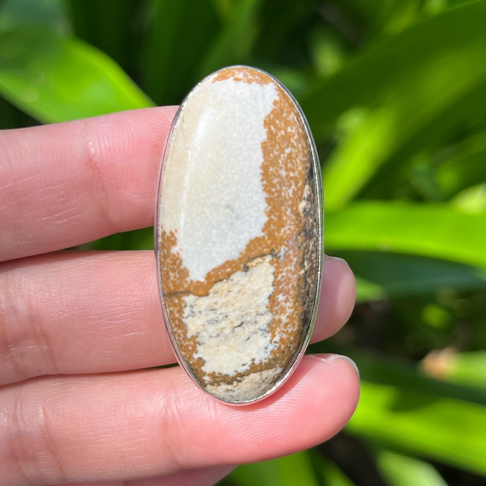 Size 11.75 silver plated picture jasper ring 2314